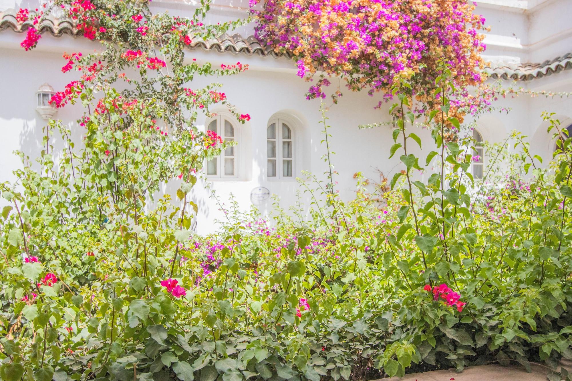 فندق Riad Palais Des Princesses & Spa مراكش المظهر الخارجي الصورة A garden in Morocco